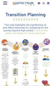 Read more about the article Building the Bridge – Transition to the next steps…